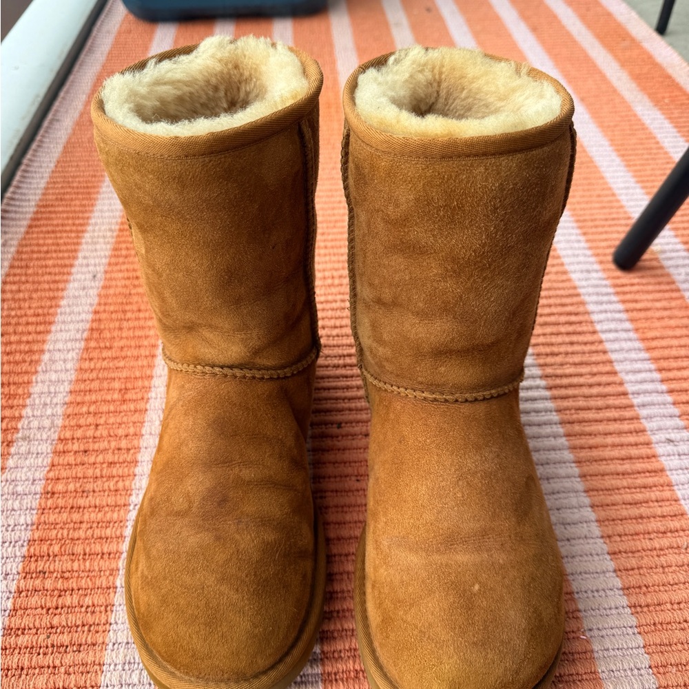 Chestnut short Ugg Boots